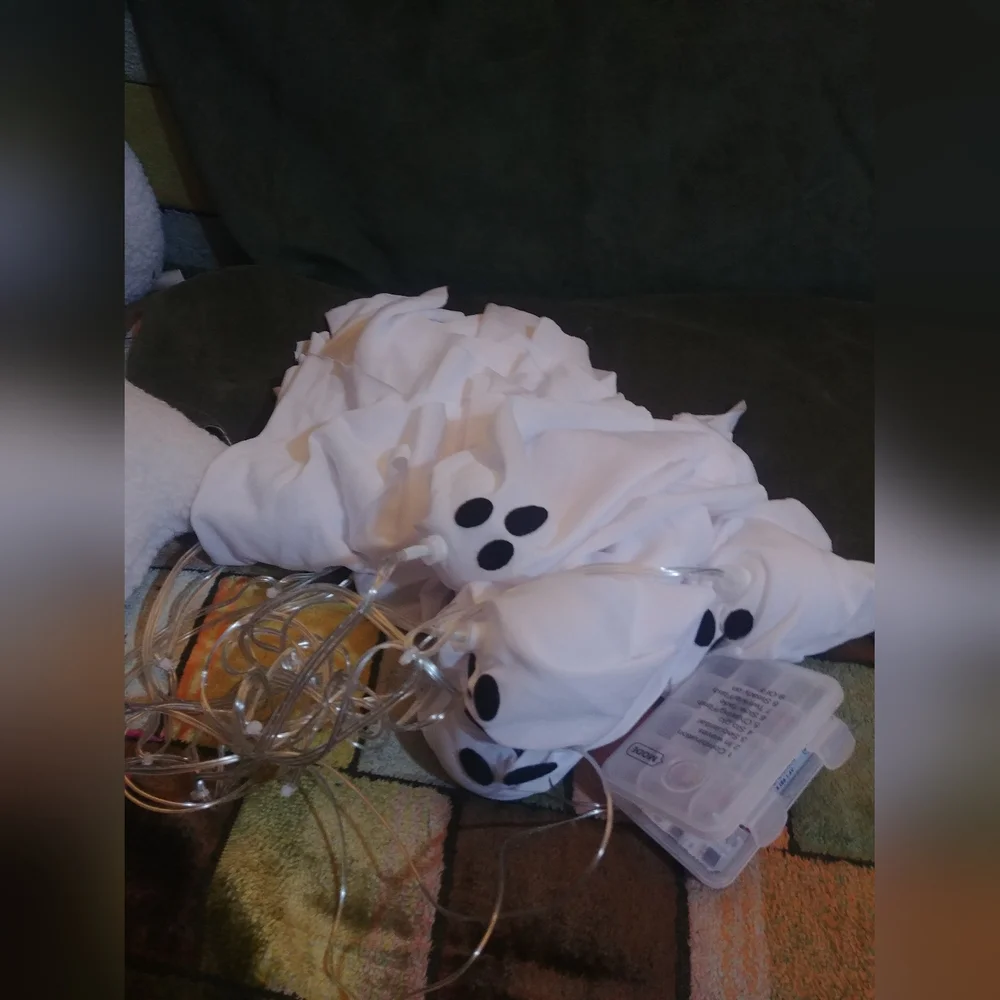 Halloween Ghost String Lights with Remote, 10 LED Hanging Ghost Lights